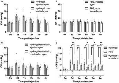 Oral Scutellarin Treatment Ameliorates Retinal Thinning and Visual Deficits in Experimental Glaucoma